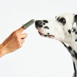 Zahnbürste DITO (3er-Set)