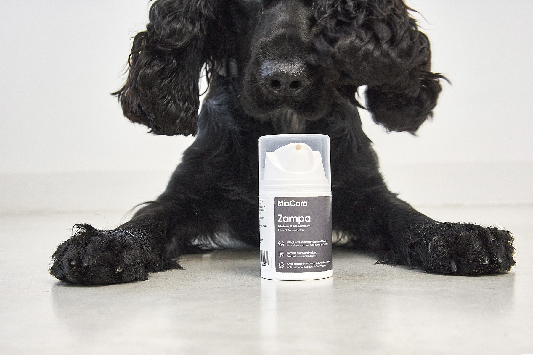 Pfotenbalsam ZAMPA – Bild 3