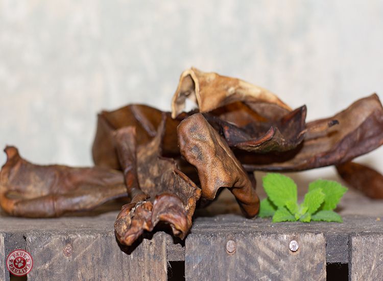 Pferdekopfhaut getrocknet, 200 g – Bild 2