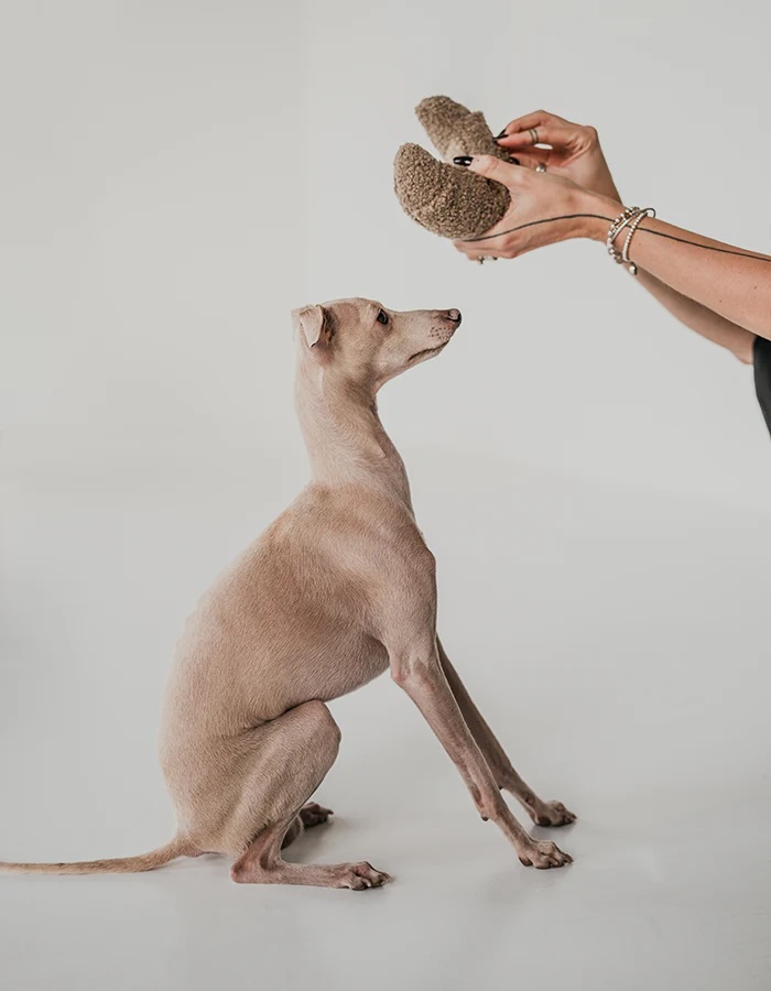 Schnüffelspielzeug Croissant – Bild 3