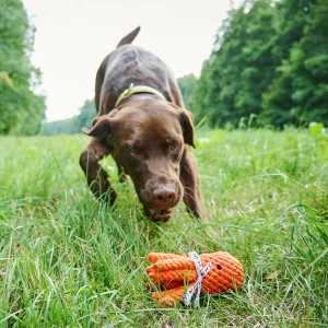 Alternative view of Kauspielzeug Taddäus Tintenfisch
