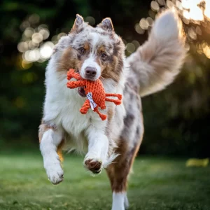 Alternative view of Kauspielzeug Kristof Krabbe