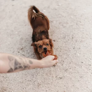 Alternative view of Hundespielzeug Rub Chain