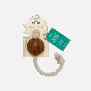 Floating Dental Ball