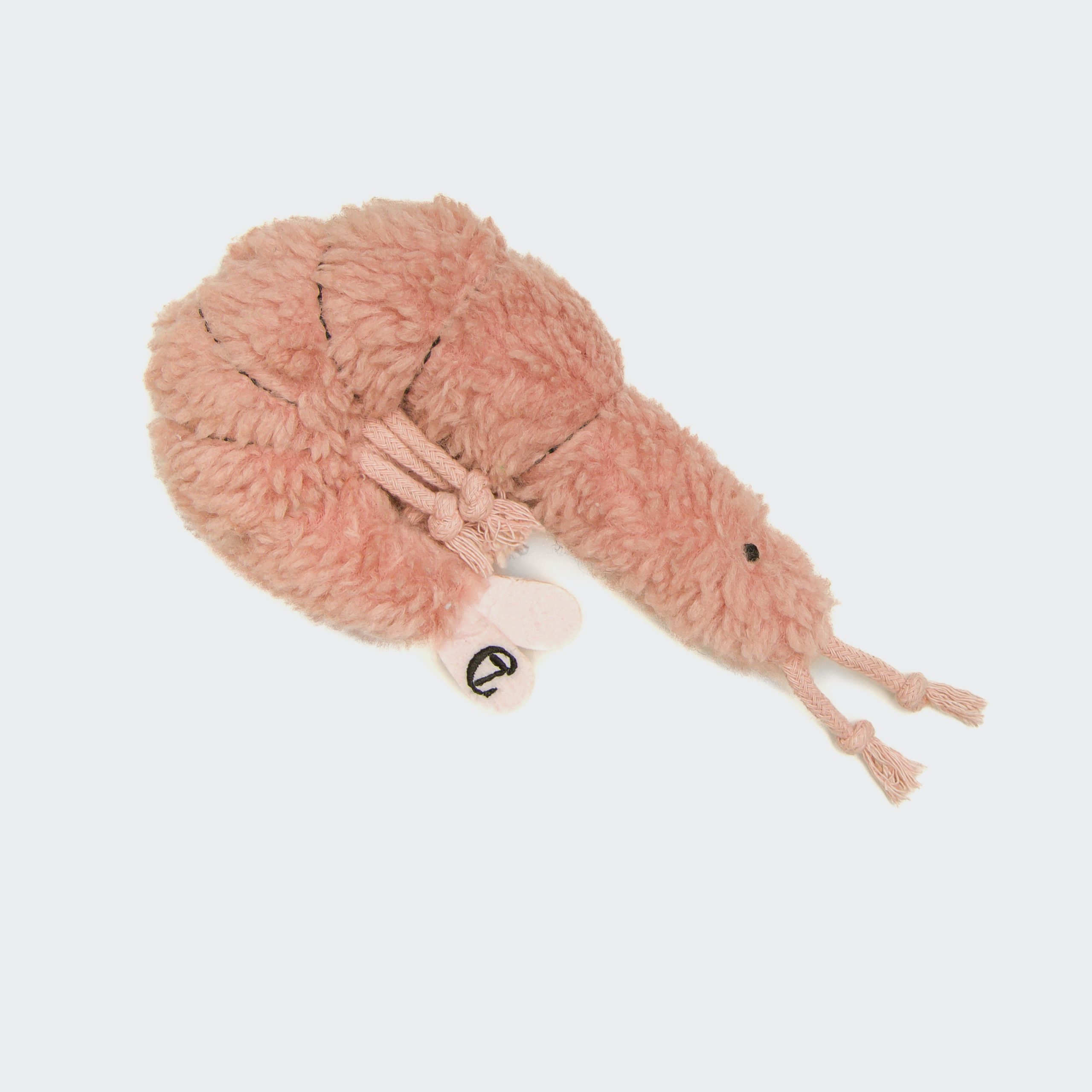Shrimp Susi – Bild 5