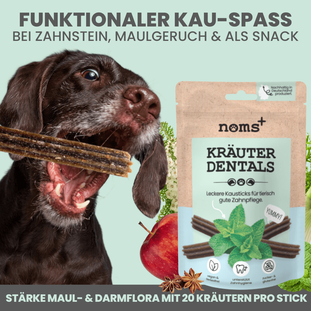 Kräuter Dentals – Bild 3